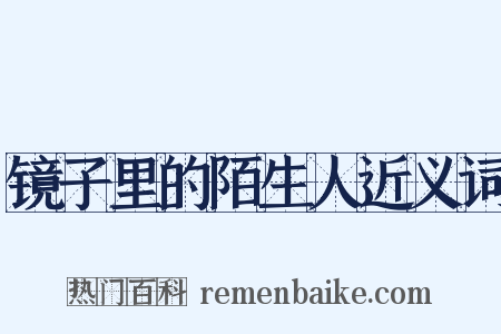 镜子里的陌生人近义词是什么意思的图片